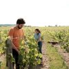 Les vignerons, domaine Breton naturedevin.com