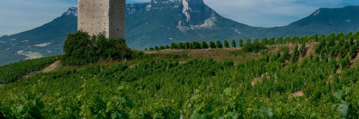 Le Granier vu des Tours de Chignin Savoie naturedevin.com vin bio