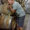 Le vigneron dans sa cave, domaine Giachino naturedevin.com