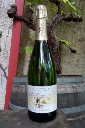 Don Giachino 2020, Domaine Giachino