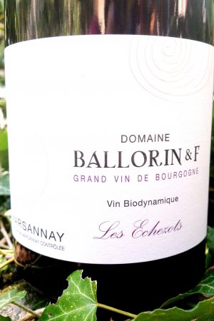 Marsannay Les Echezots 2019, Domaine Ballorin & F naturedevin.com