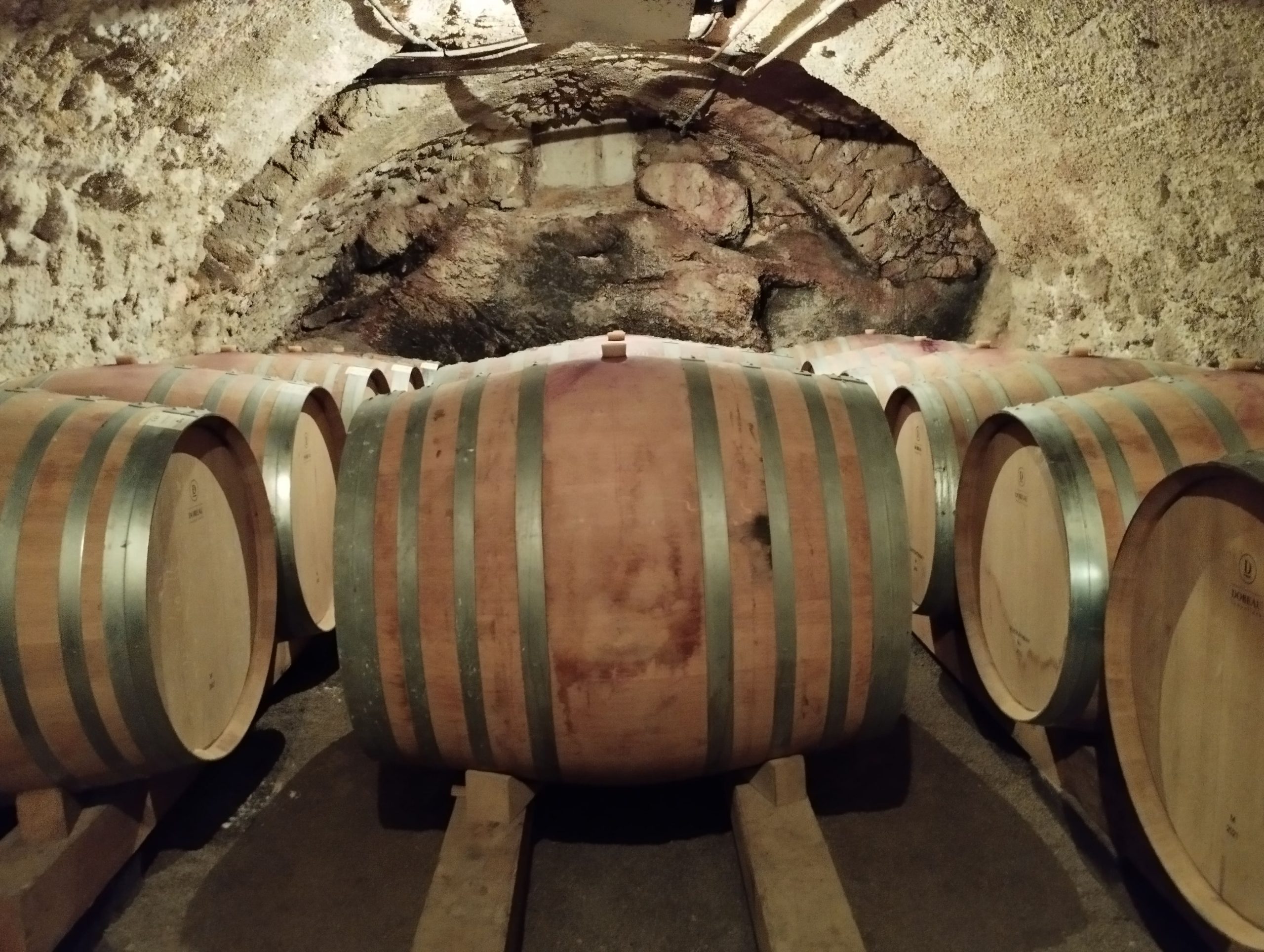 La cave à vin de Terre Blanche