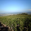 Saint-Joseph Châtelet 2022, Domaine Monier Perréol – Image 2