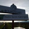 Vignobles Nuits Saint Georges naturedevin.com