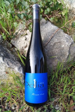 Dolia Paradis 2013, Domaine Viret naturedevin.com