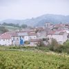 Cerdon 2019 Méthode Ancestrale, Domaine Renardat-Fache naturedevin.com