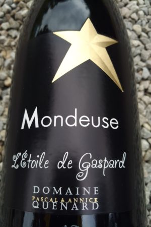 Mondeuse L’Etoile de Gaspard 2019, Domaine Pascal et Annick Quénard naturedevin.com