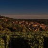 Vignes Les Loges Pouilly-Fumé, domaine Pabiot naturedevin.com
