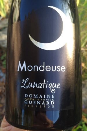 Mondeuse La Lunatique 2019, Domaine Pascal et Annick Quénard naturedevin.com