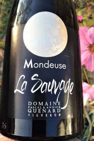 Mondeuse La Sauvage 2022, Domaine Pascal et Annick Quénard naturedevin.com