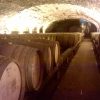 Cave d'élevage Fûts, Domaine de la Pinte naturedevin.com
