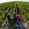 Famille Breton vignerons naturedevin.com