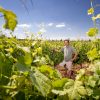 Le vigneron et vignes, Terre des Chardons naturedevin.com