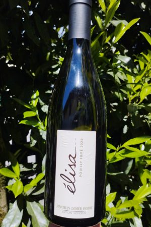 Pouilly fumé Elisa 2022, Domaine Pabiot naturedevin.com