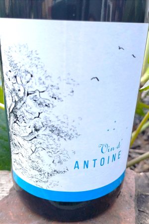 Vin d'Antoine 2021, Domaine Saint Nicolas naturedevin.com