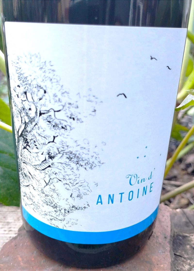 Vin d'Antoine 2021, Domaine Saint Nicolas naturedevin.com