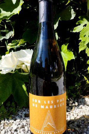 Sur les pas de Maurice 2021-22, Domaine Alpins de Sébastien Bénard naturedevin.com