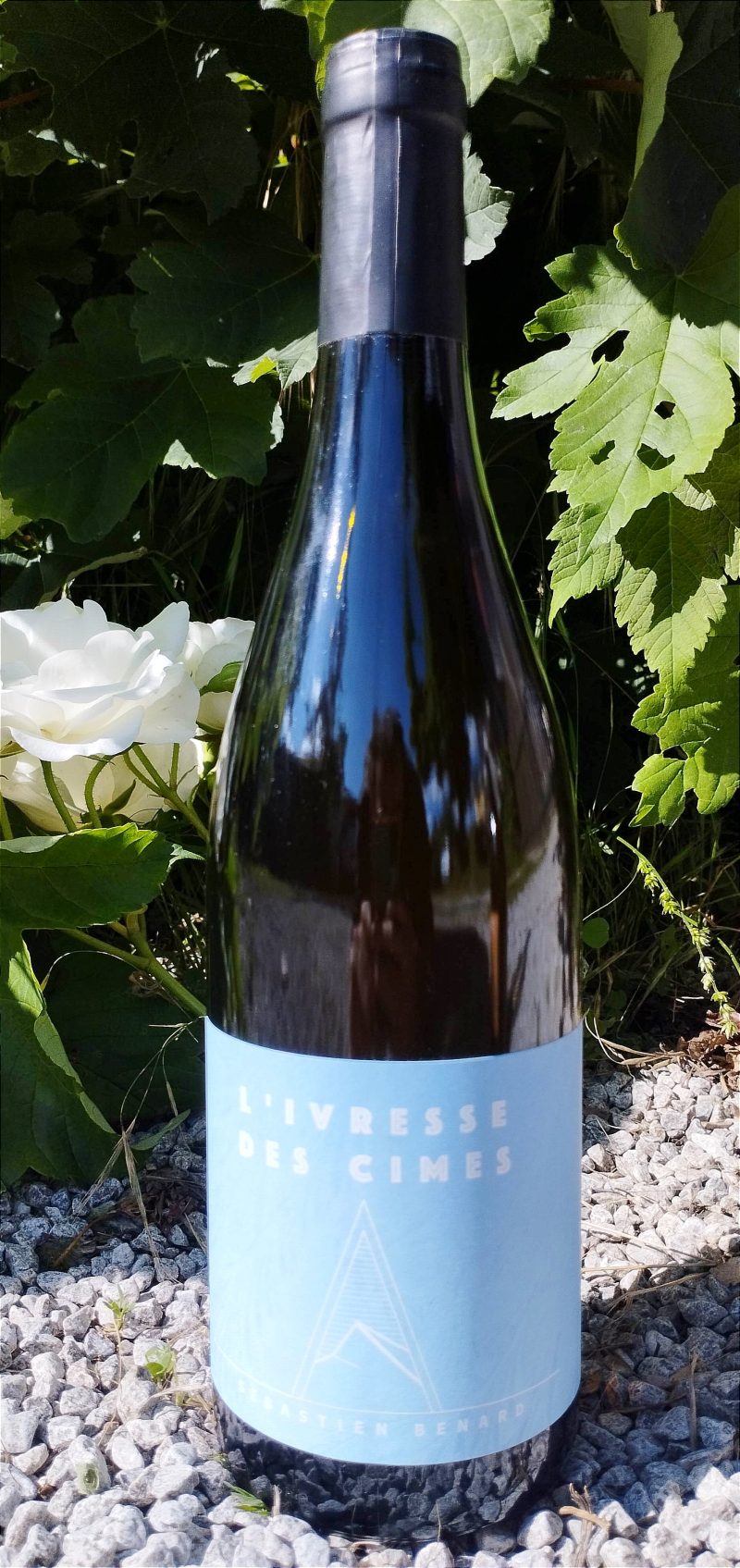 L'ivresse des Cîmes 2022-23, Domaine Alpins