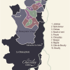 Carte du Beaujolais, naturedevin.com