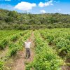 Le vigneron vignes de Pézenas, Domaine Le Comte des Floris naturedevin.com