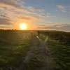 Le vignoble en soirée, Domaine de la Garrelière naturedevin.com