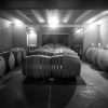 Domaine Canet-valette, la cave à fûts naturedevin.com