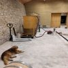 La cave de vinification, Ferme Saint Maurice naturedevin.com