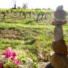 vignes domaine Badéa, naturedevin.com